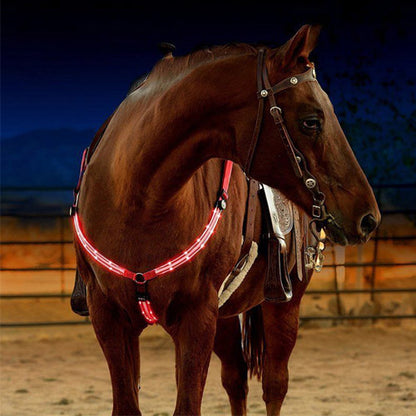 Equestrian LED light strip