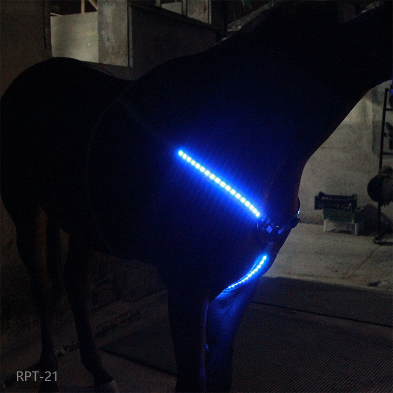 Equestrian LED light strip