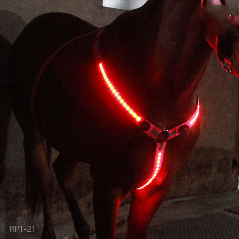 Equestrian LED light strip